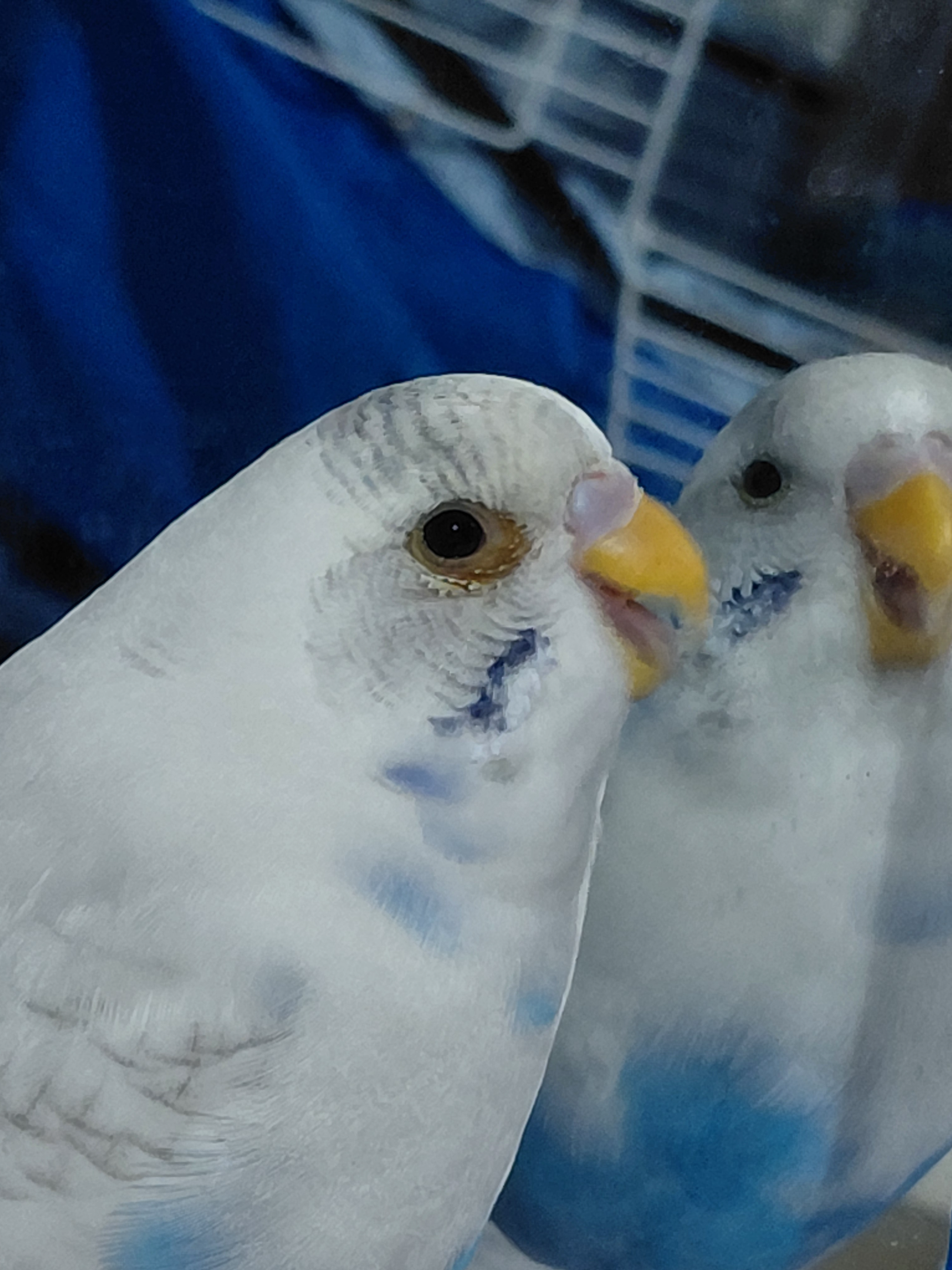 20260125_223736.webp
