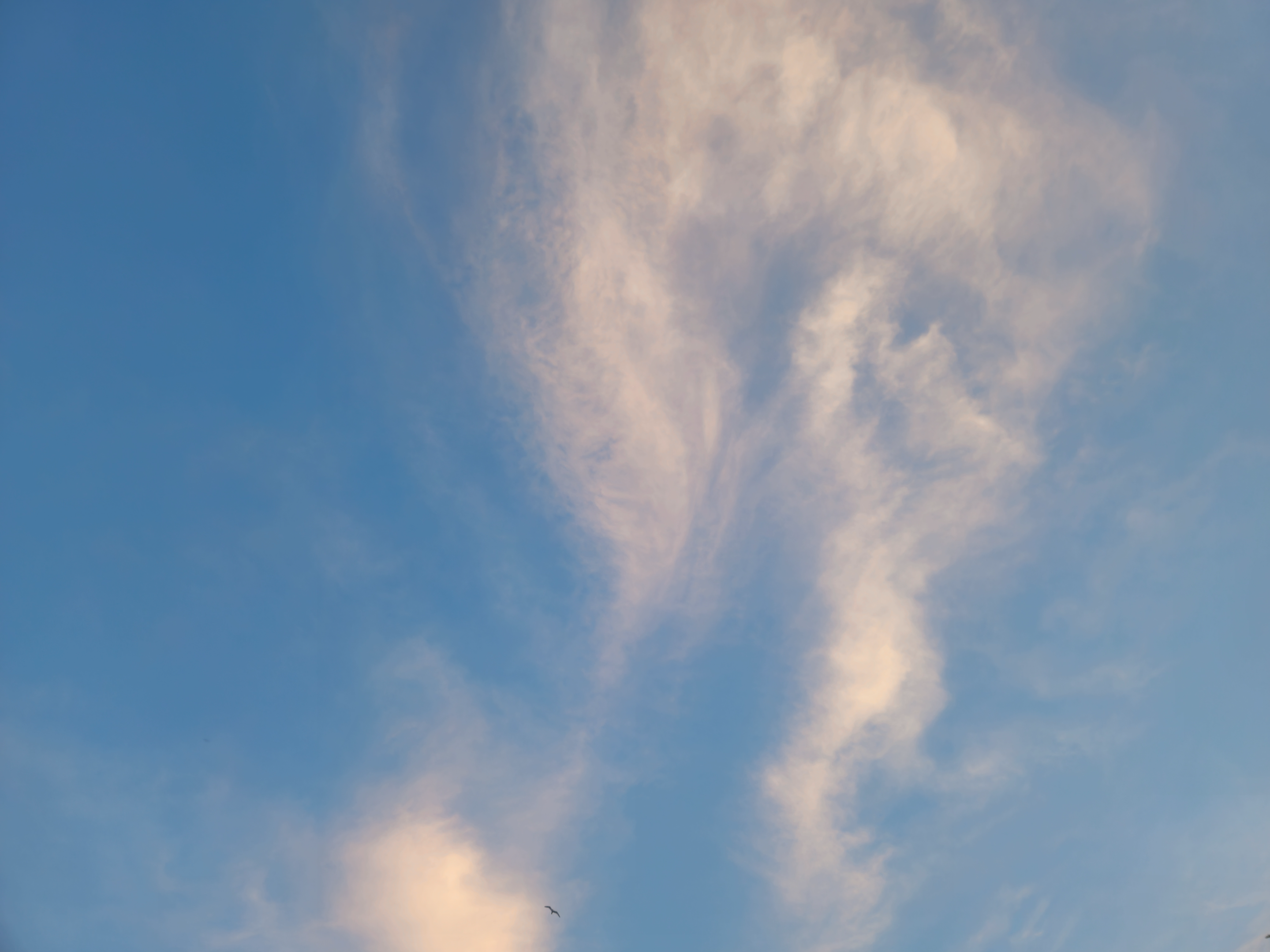 20260605_202912.webp