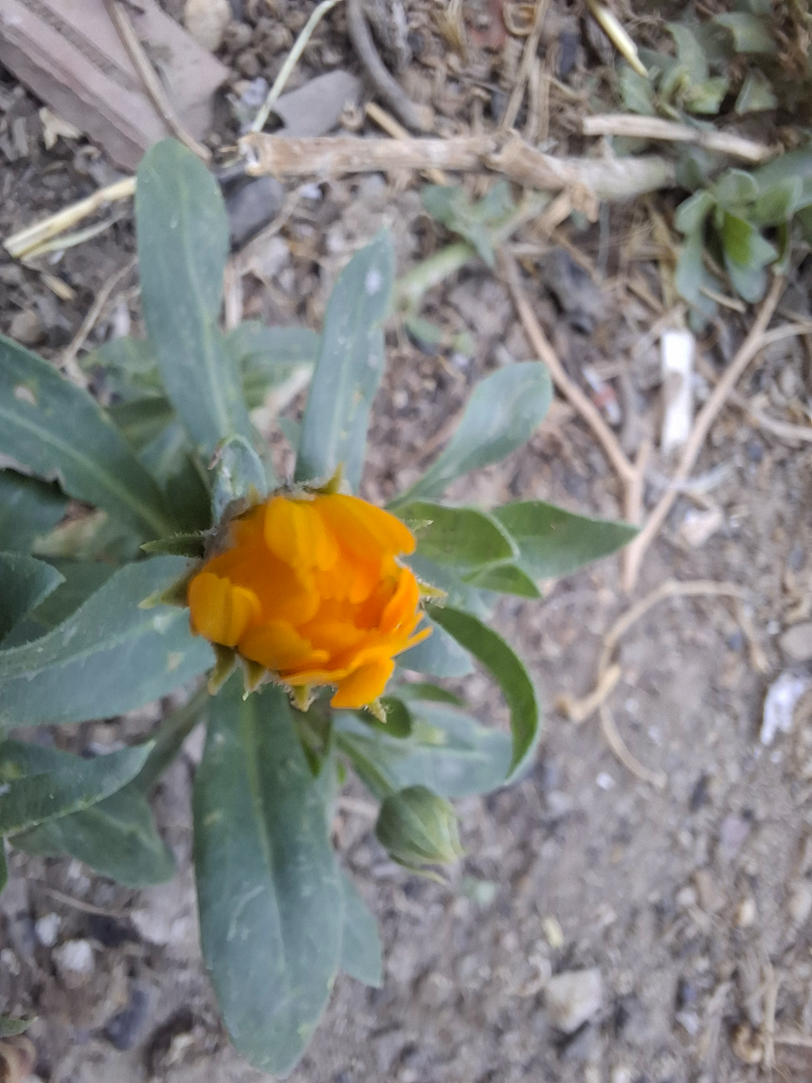 20260707_183548.webp