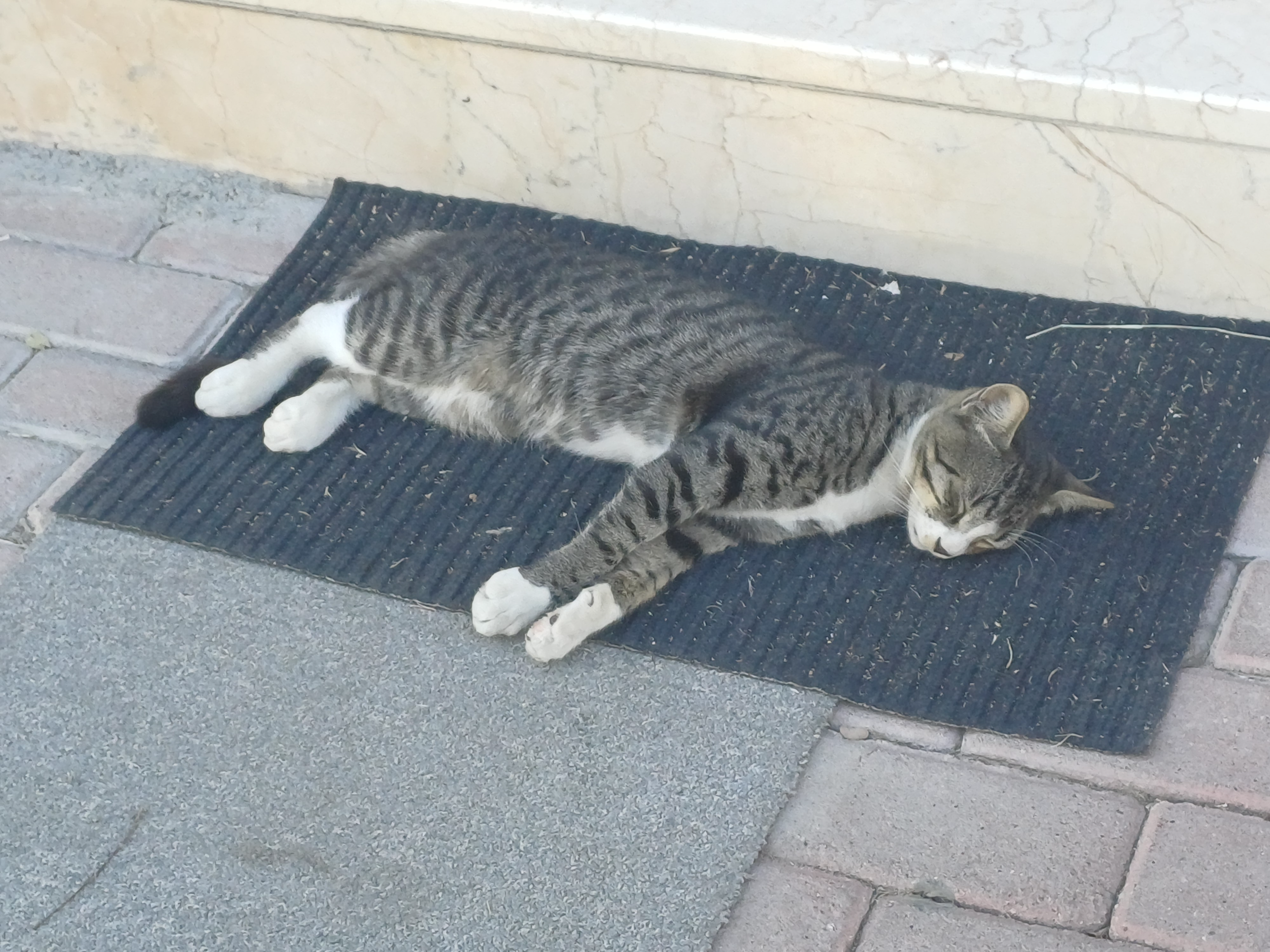 20260908_165959.webp