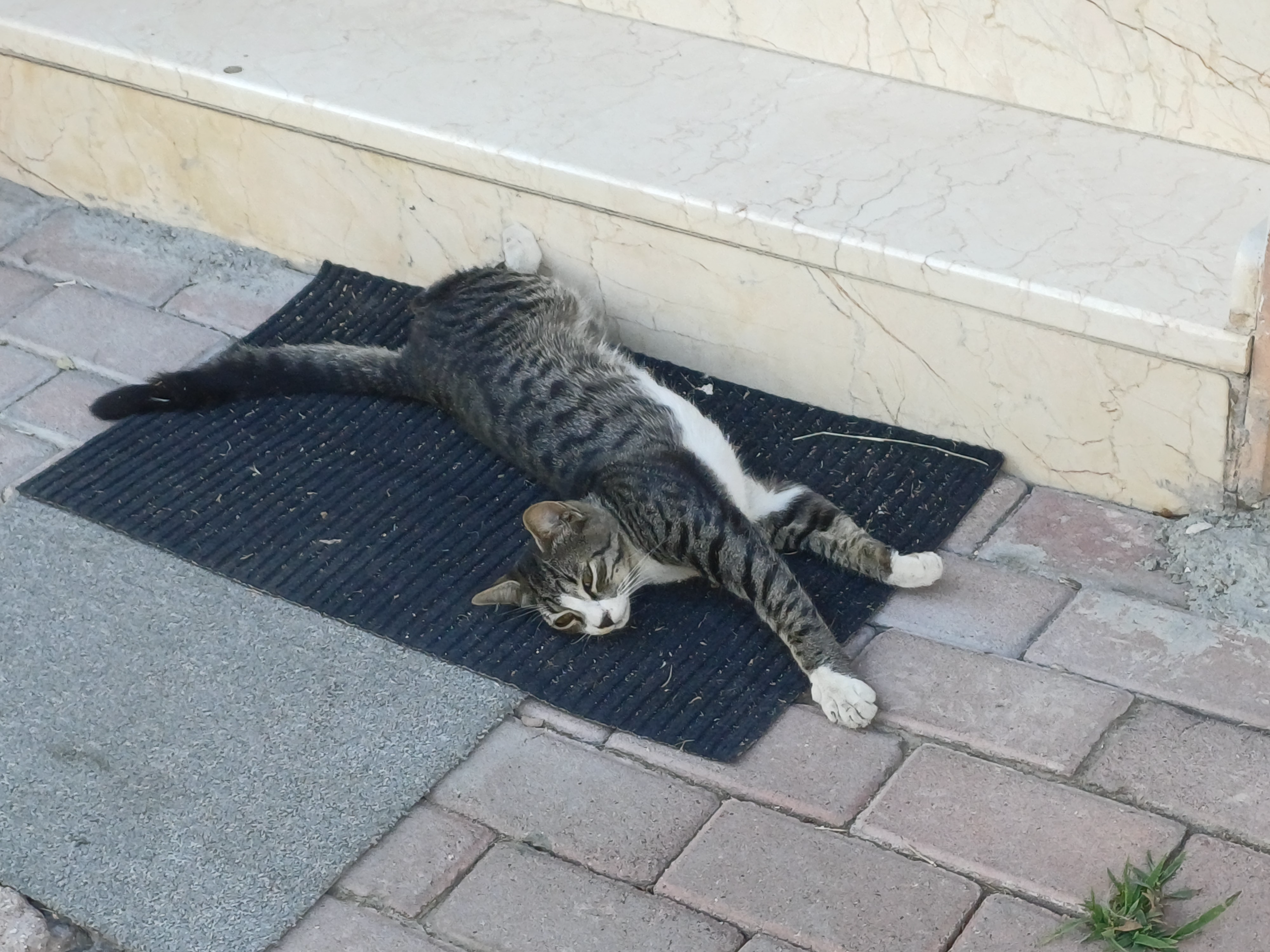20260908_170247.webp
