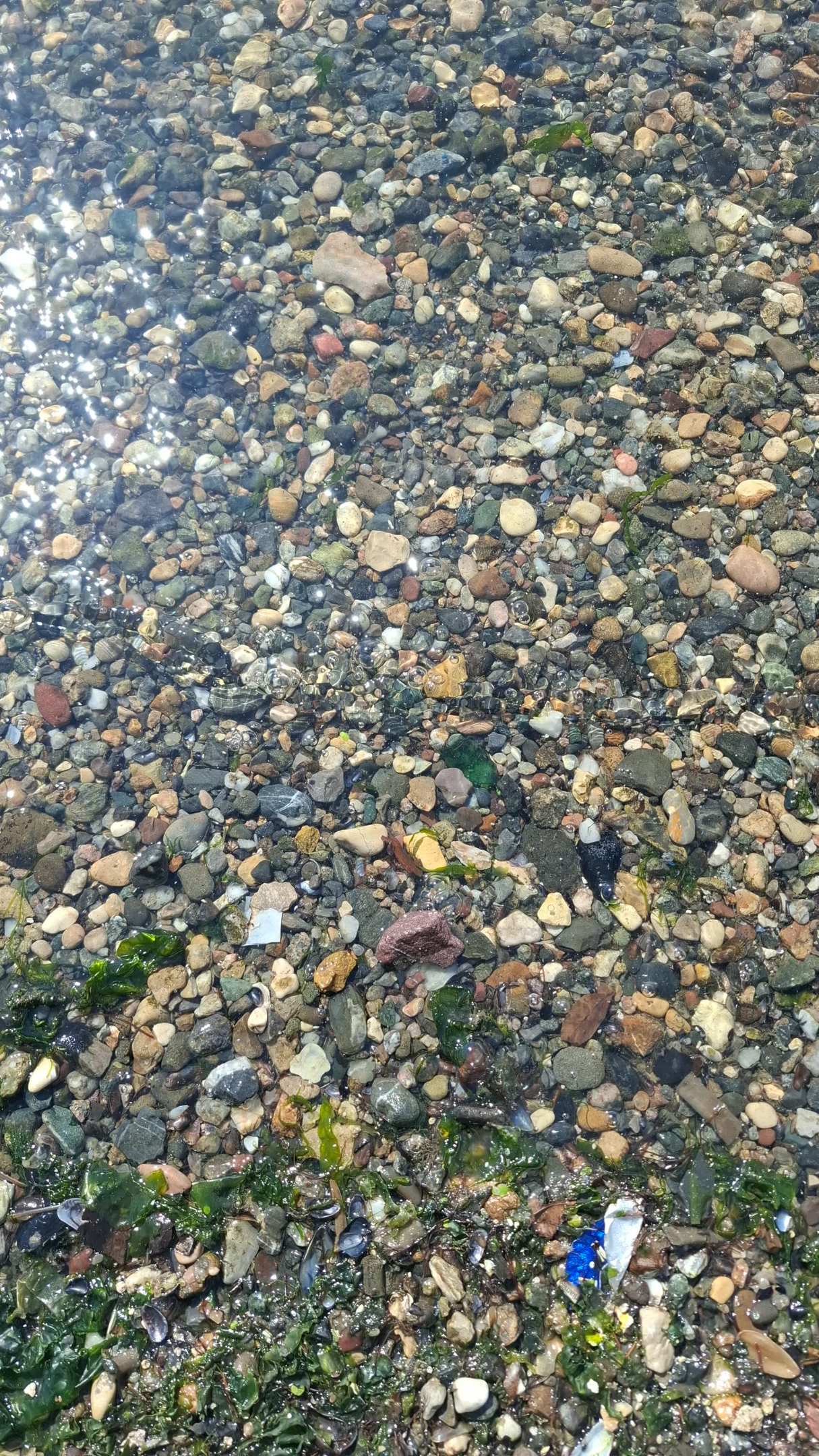 20260924_124936.webp