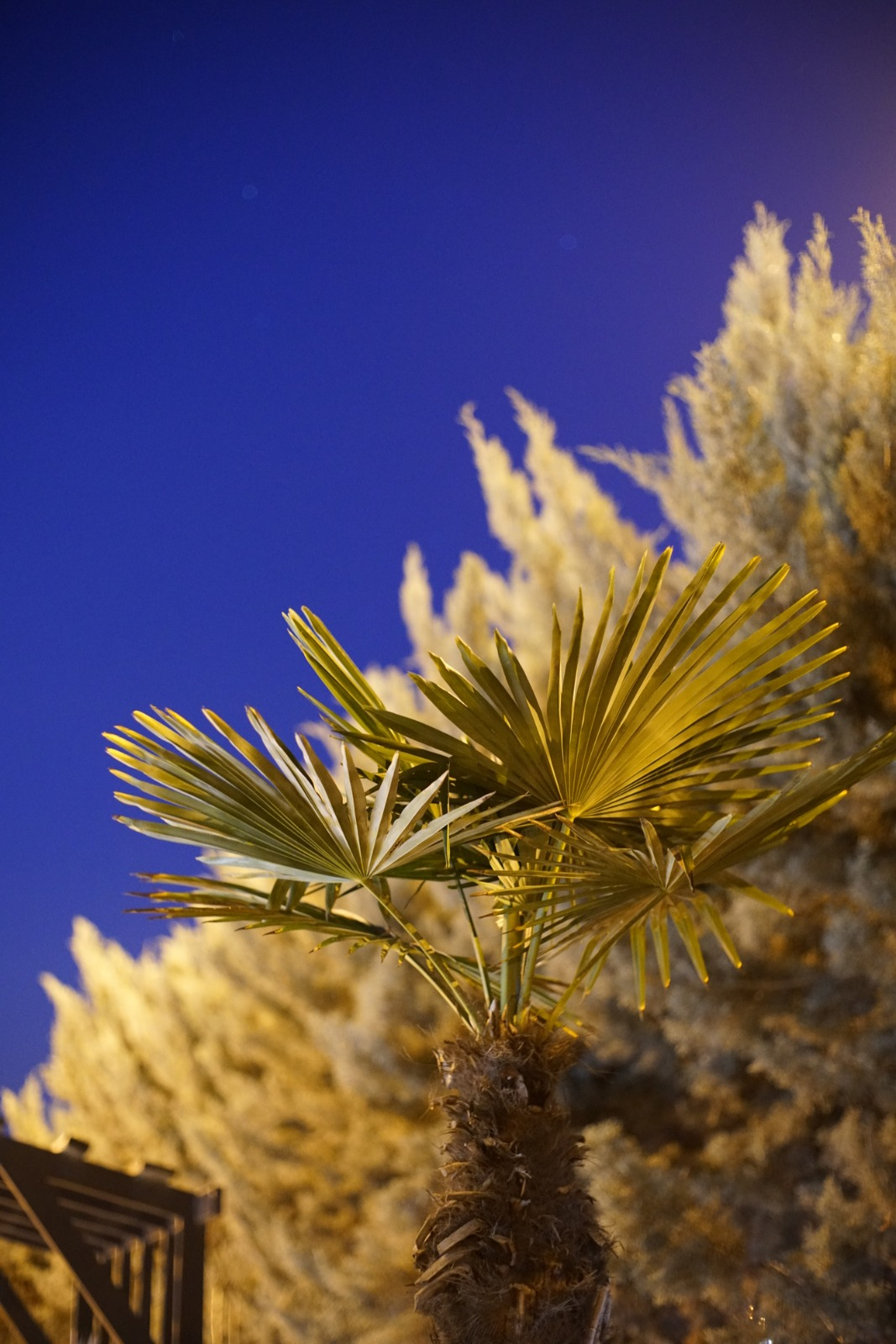212121211-28 at 21.38.43.webp