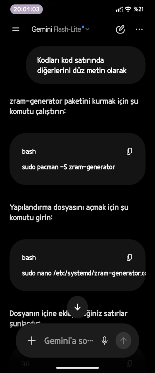 24155.webp
