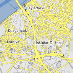 242141.webp