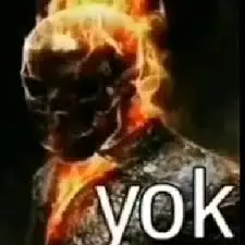 2Q==.webp
