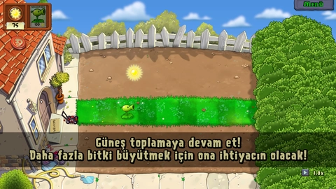 3.webp
