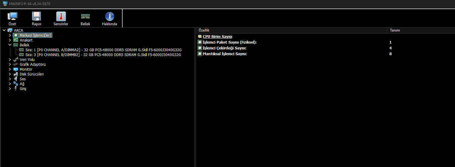 3.webp