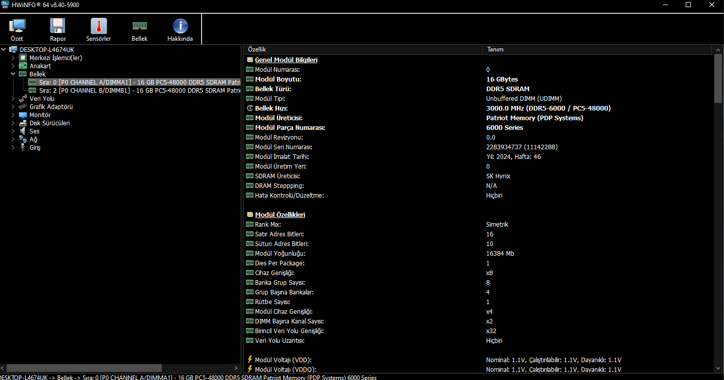 3.webp