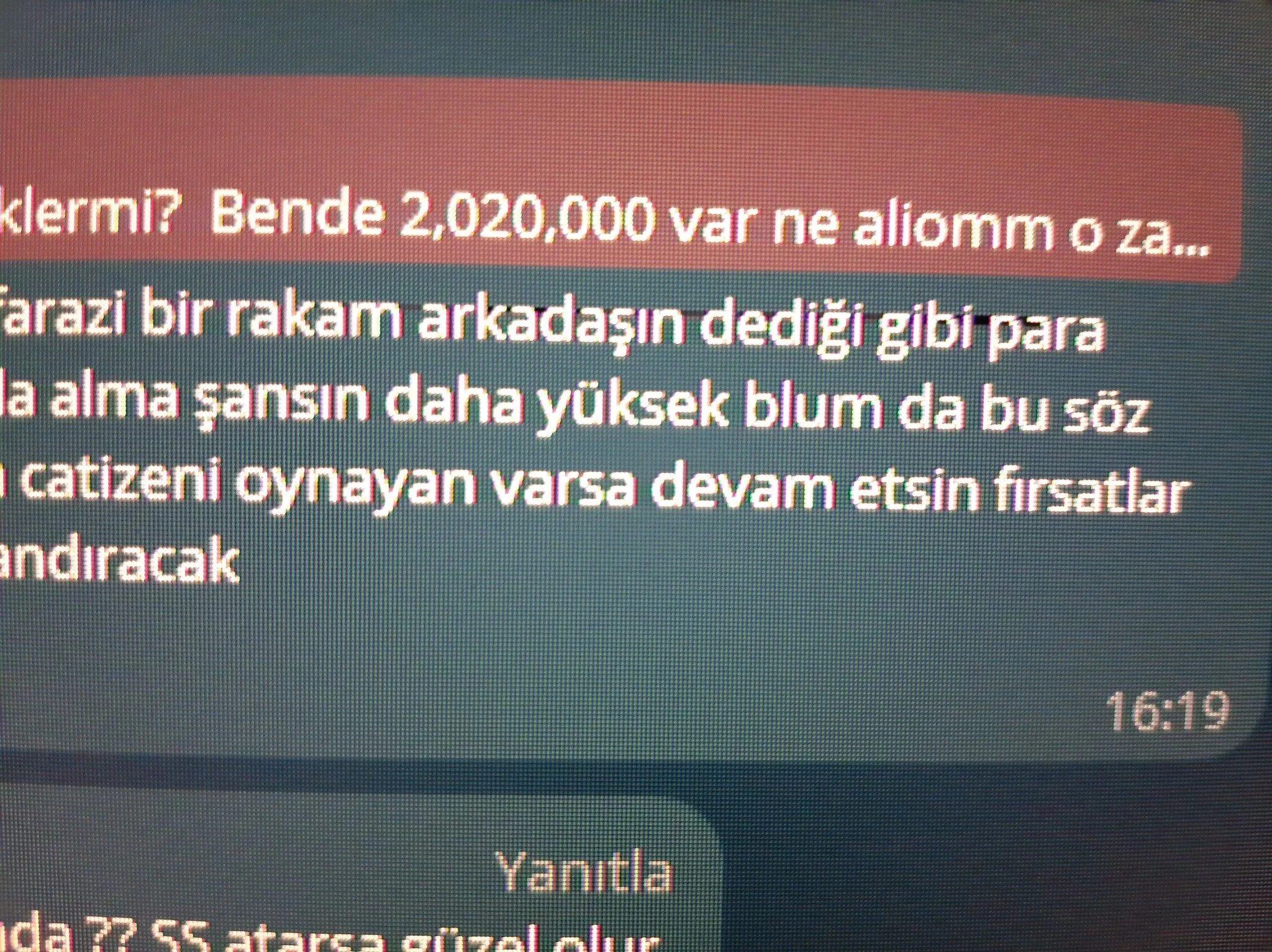300_1.webp