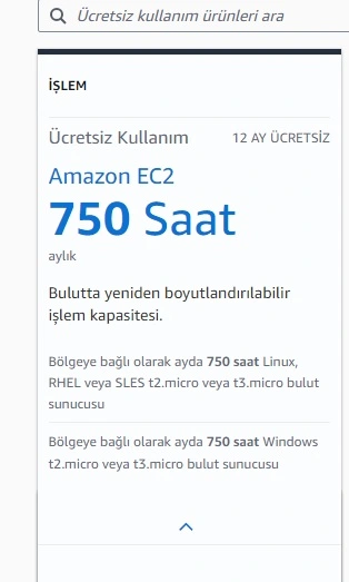 333.webp