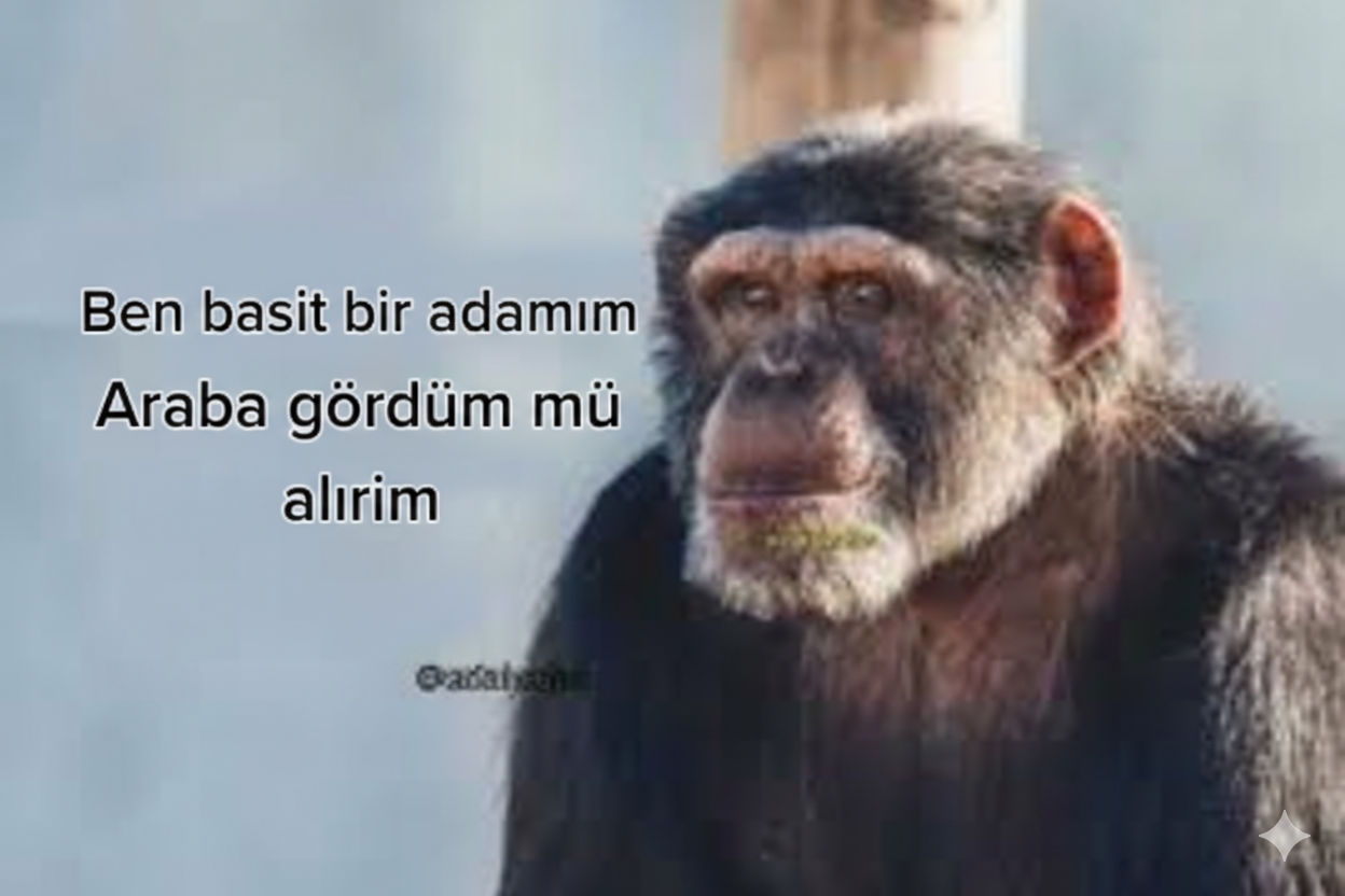 39C74597-679C-4D7B-92A8-A94DE3C274FF.webp