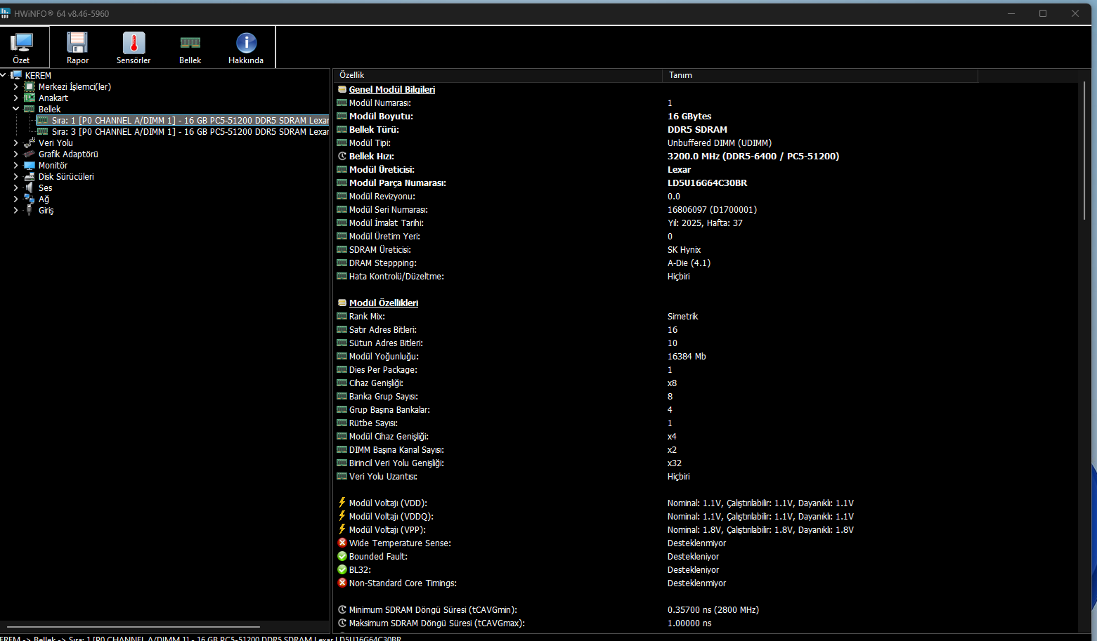 4.webp