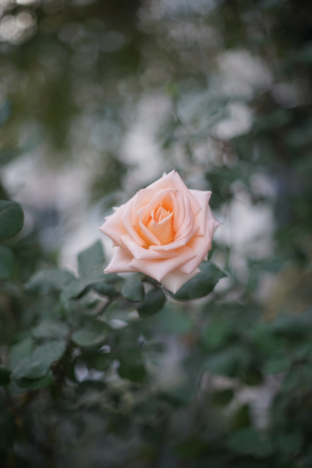 .44.16.webp