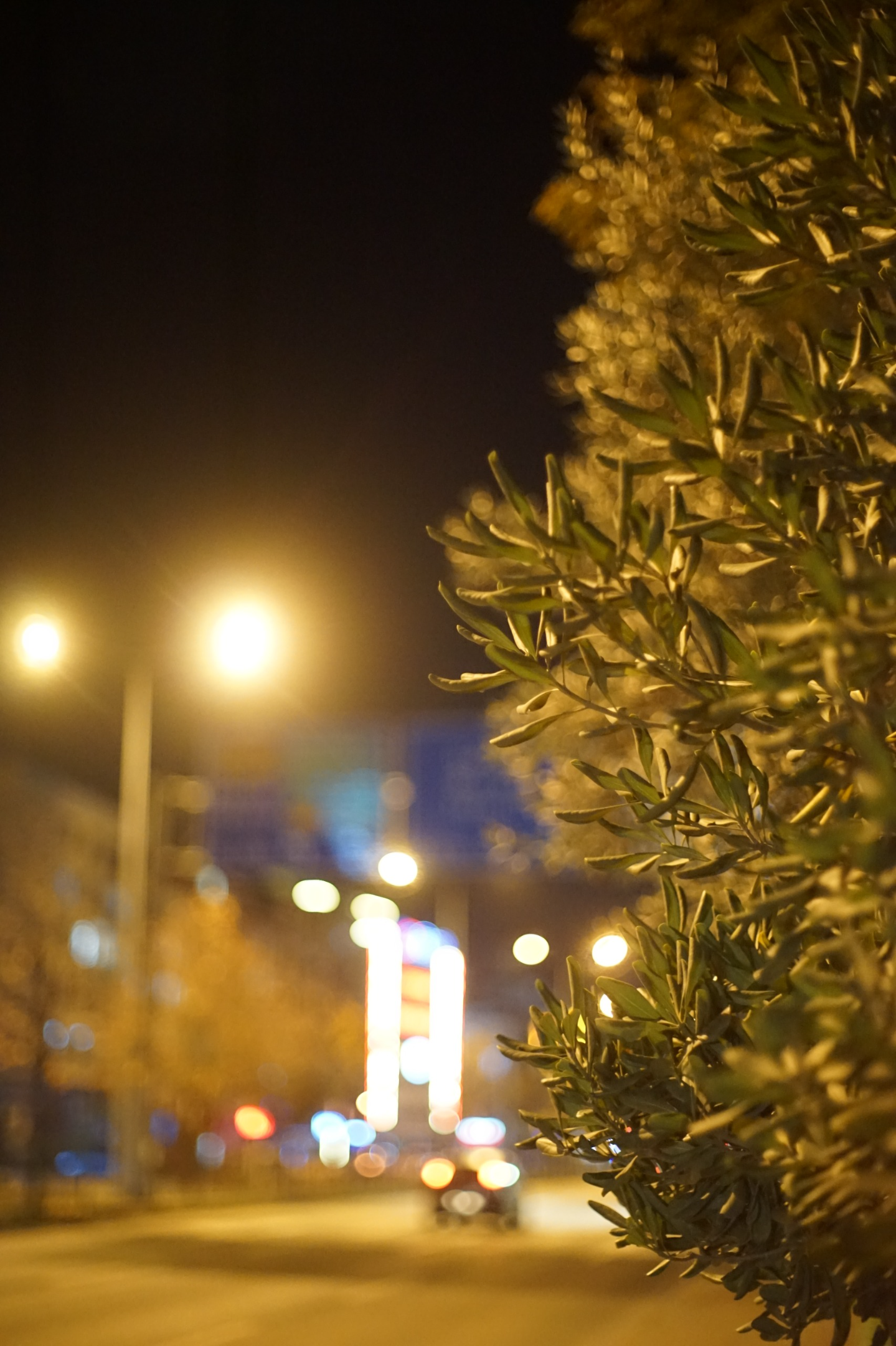 5-11-25 at 19.50.04.webp