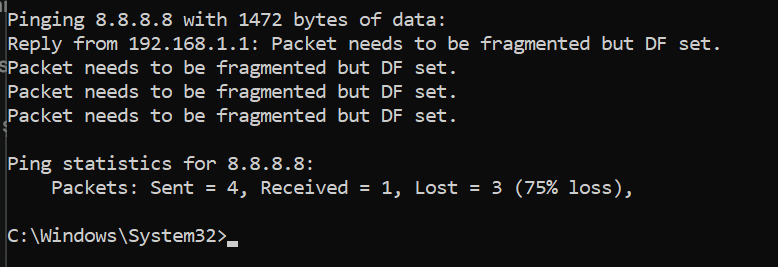 5.webp