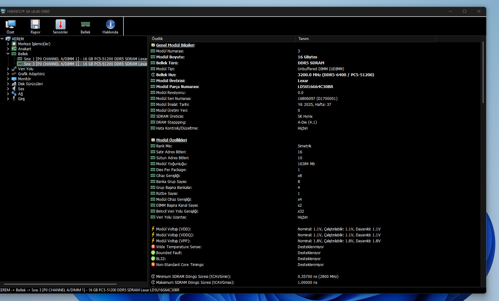 5.webp