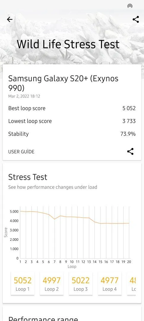 5.webp