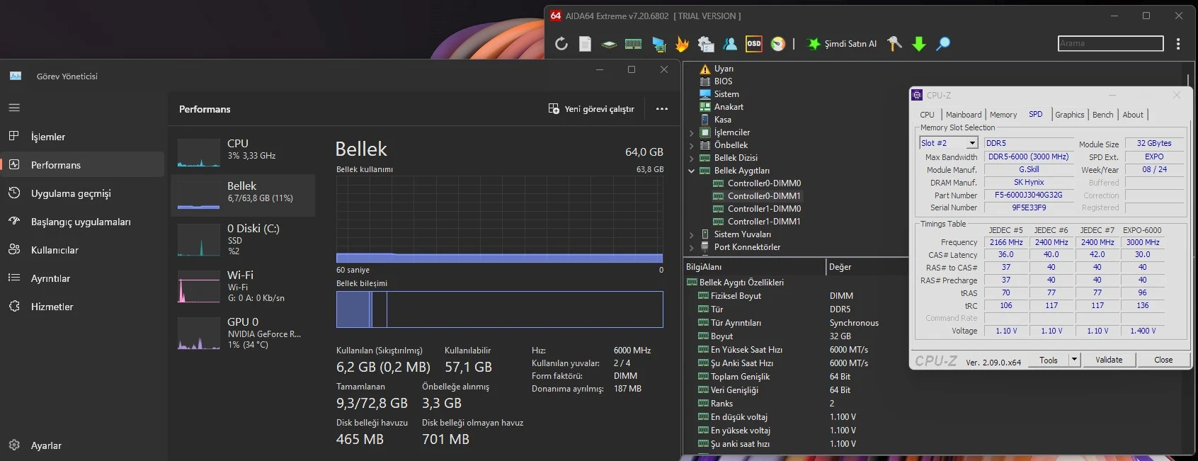 6000.webp