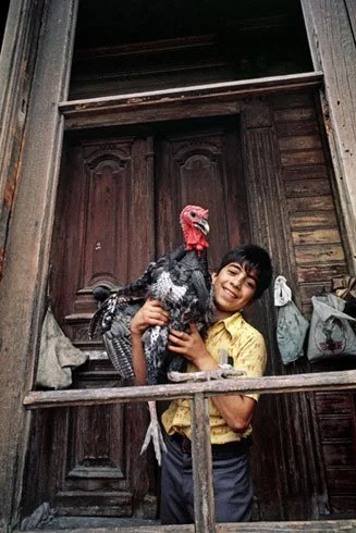 62.webp