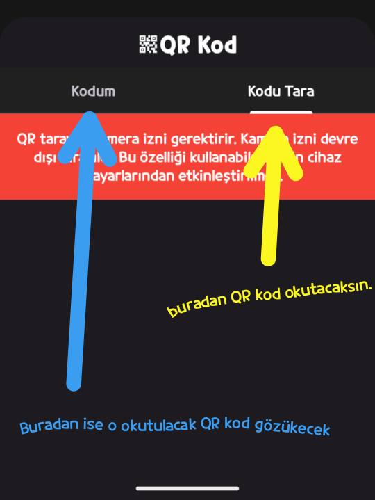 729.webp