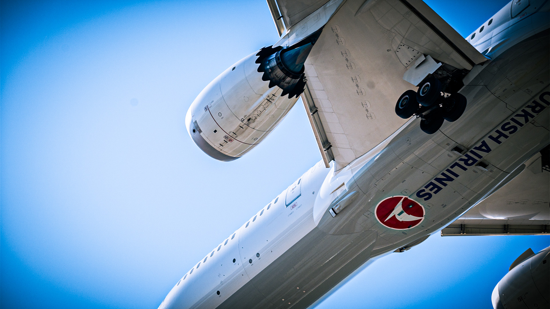 787-Dream2.webp