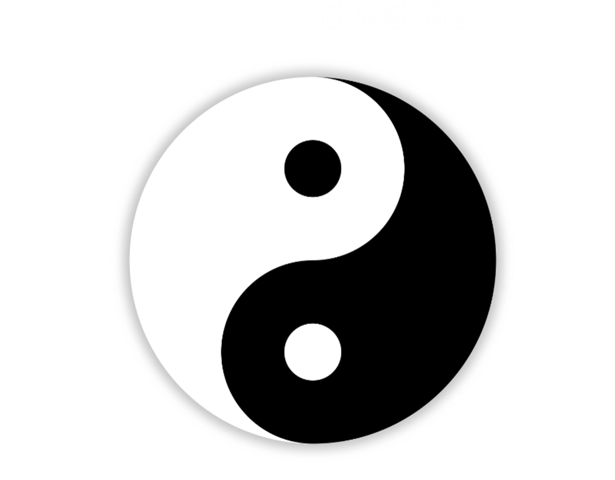 817F24E0-938C-4D65-AF87-7AD893B47641.webp