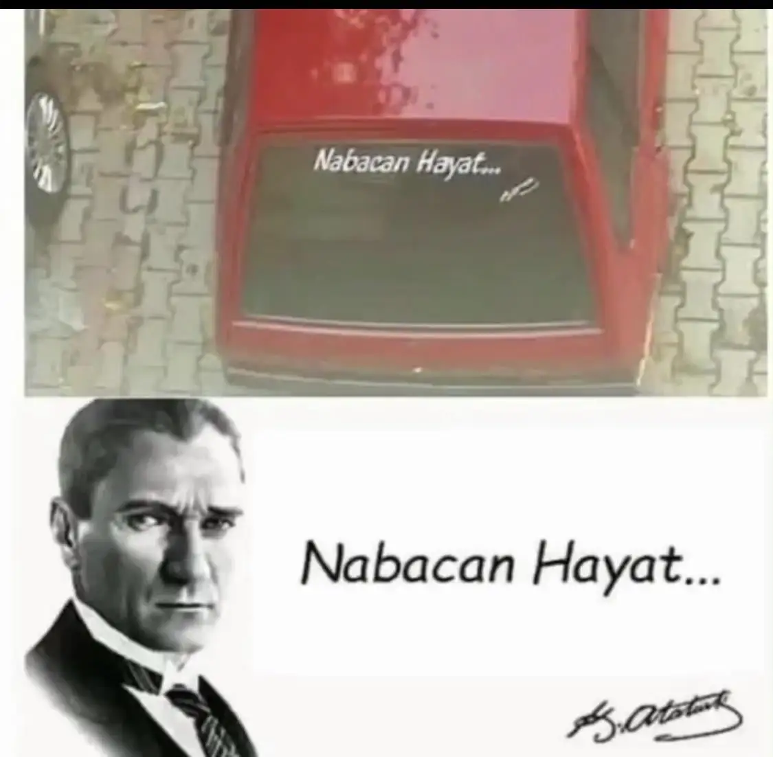 87d7d5f833337803f5ac10c0ff4ff05f.webp