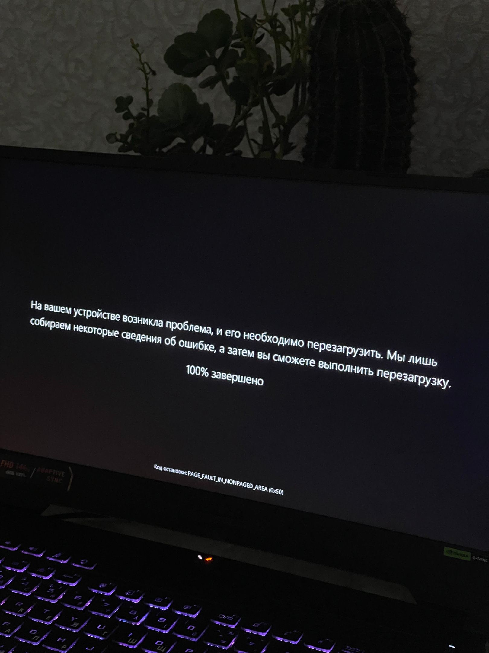 8hkkayuv.webp