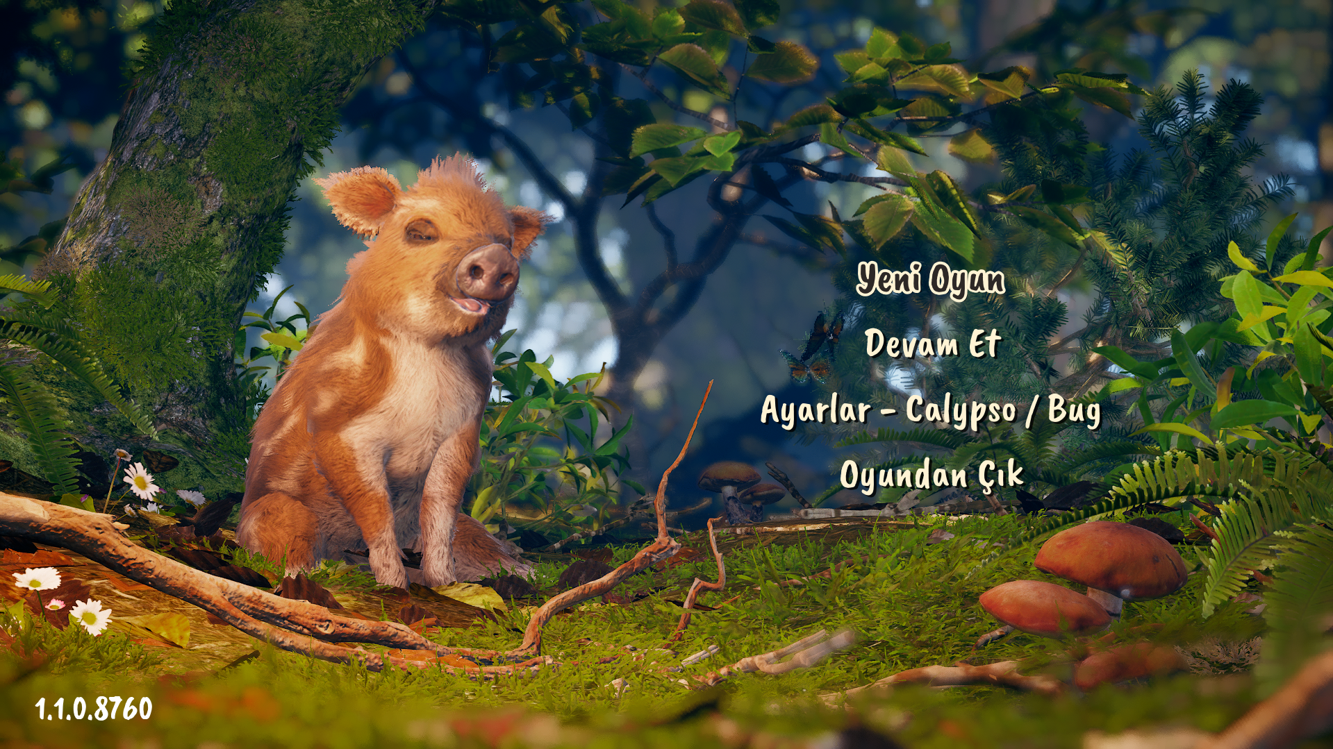 Adorable Adventures Calypso1.webp