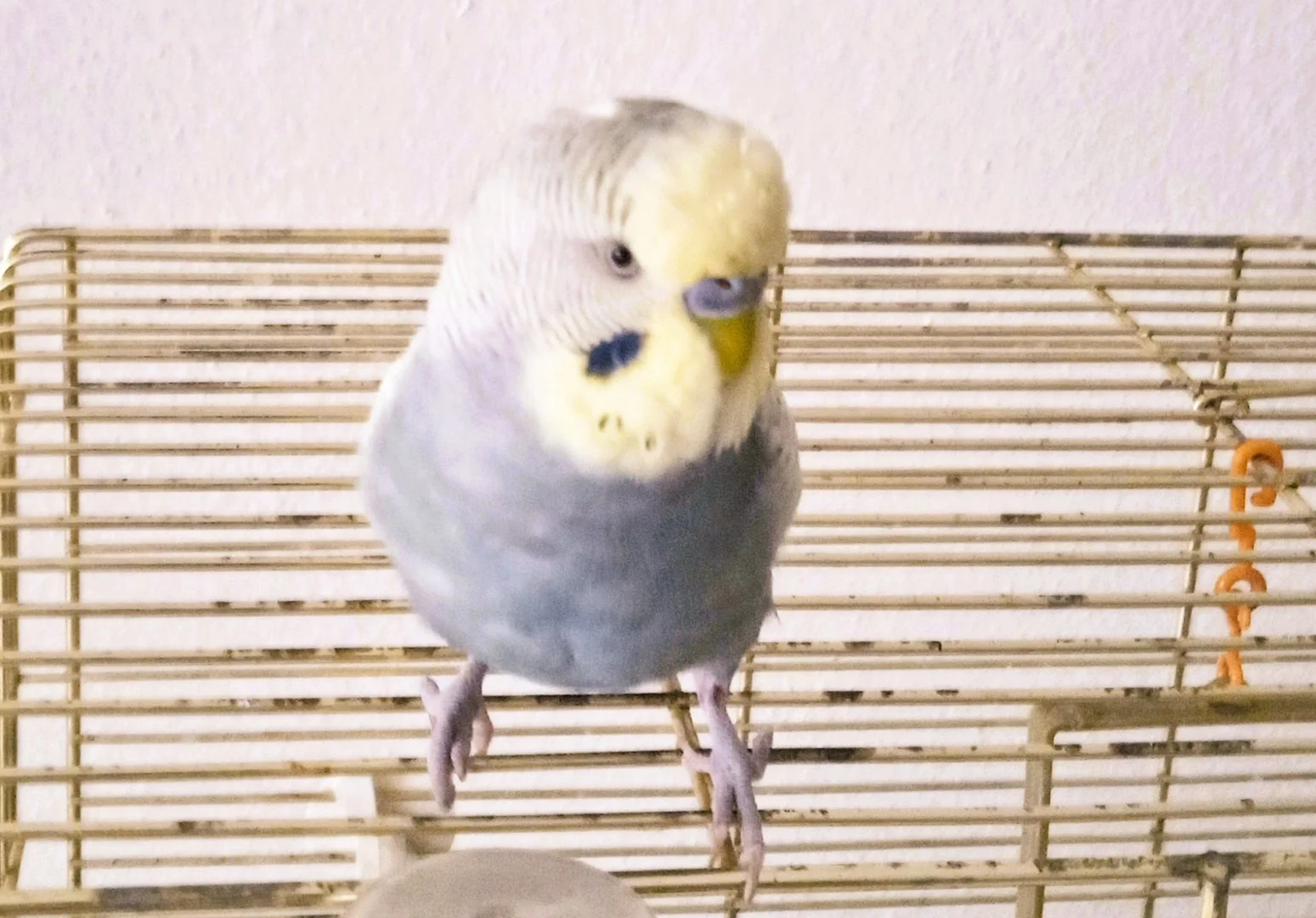 alarm2.webp