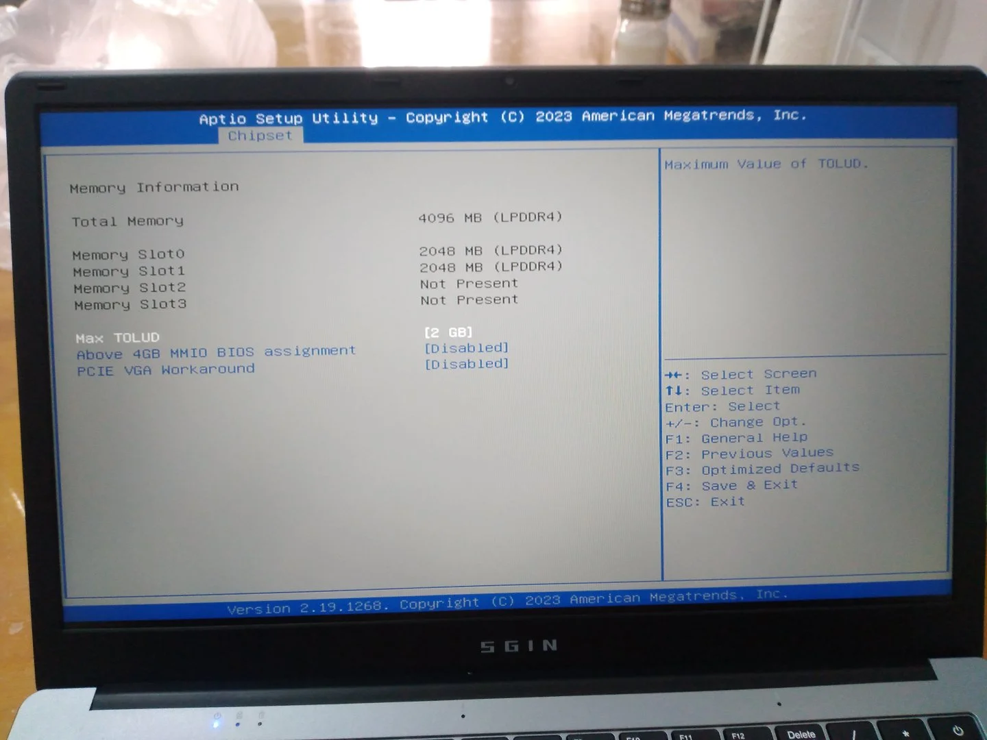 Amibiosram2.webp