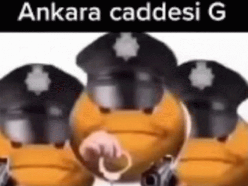 ankara-polis.gif
