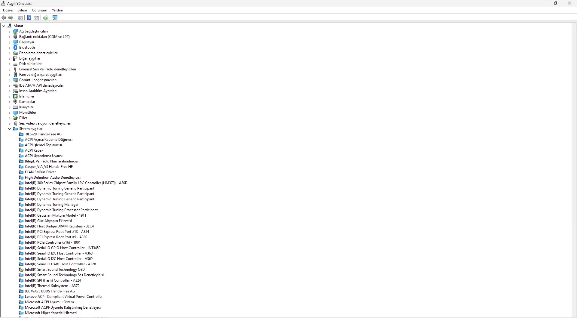 Aygıt Yöneticisi 31.12.2024 22_43_34.webp