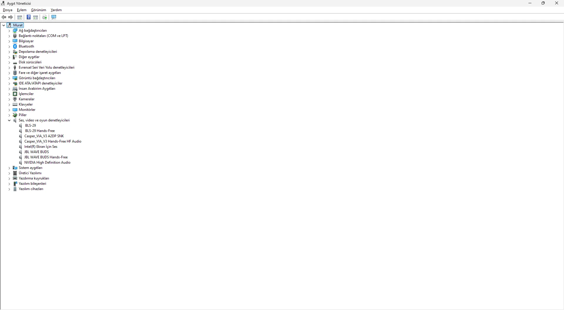 Aygıt Yöneticisi 31.12.2024 22_57_03.webp