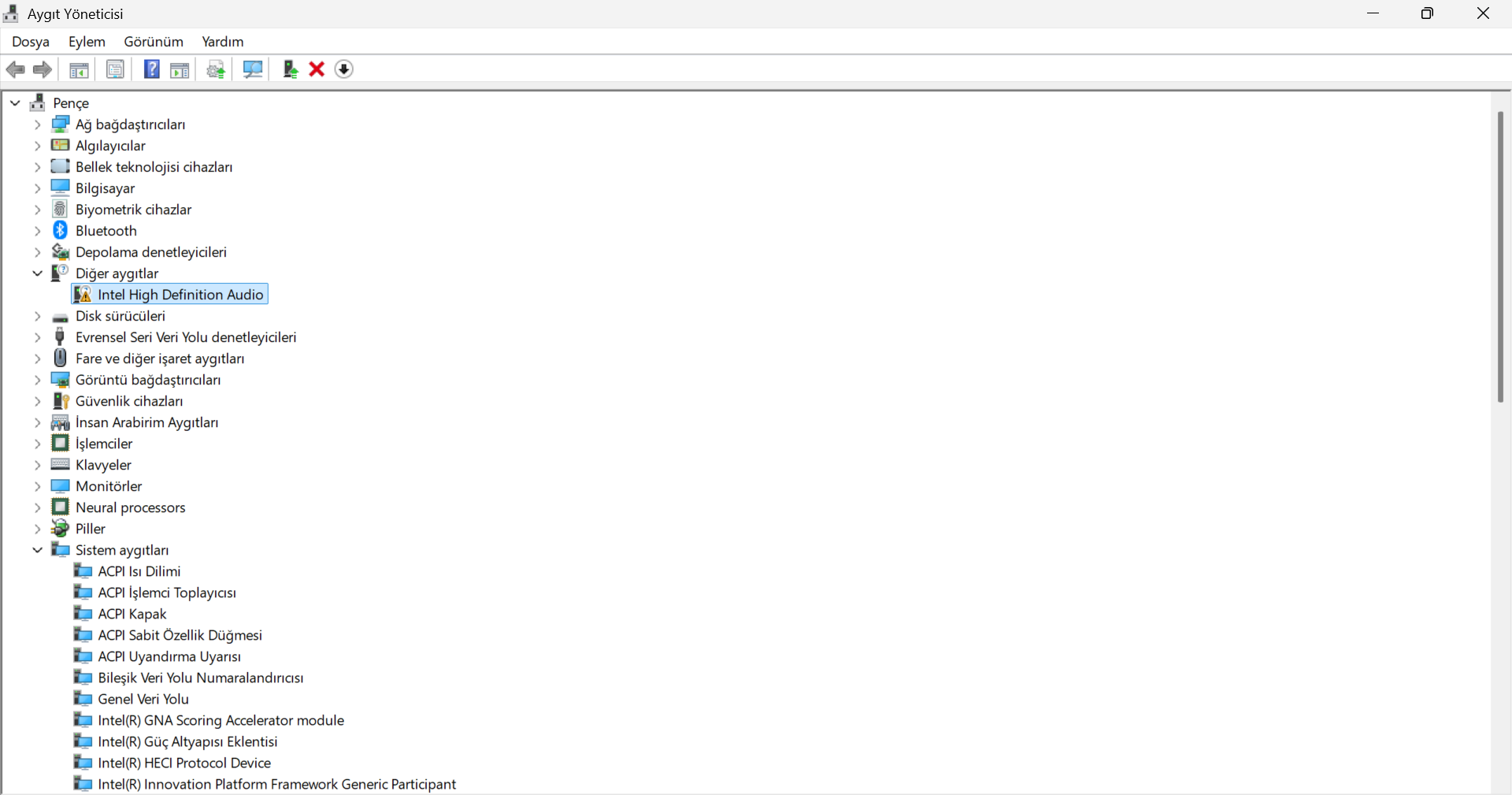 Aygıt Yöneticisi 9.11.2025 13_15_31.webp