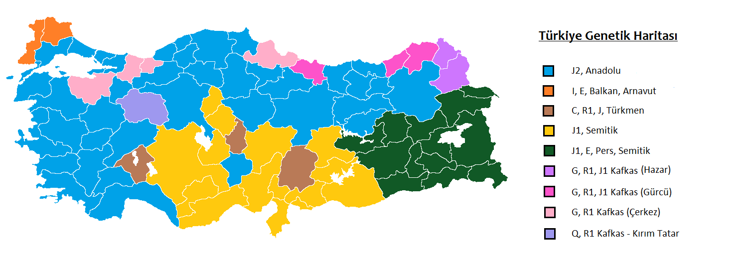 b81d5553df7d5a7217a4e3e8deea4f09.webp