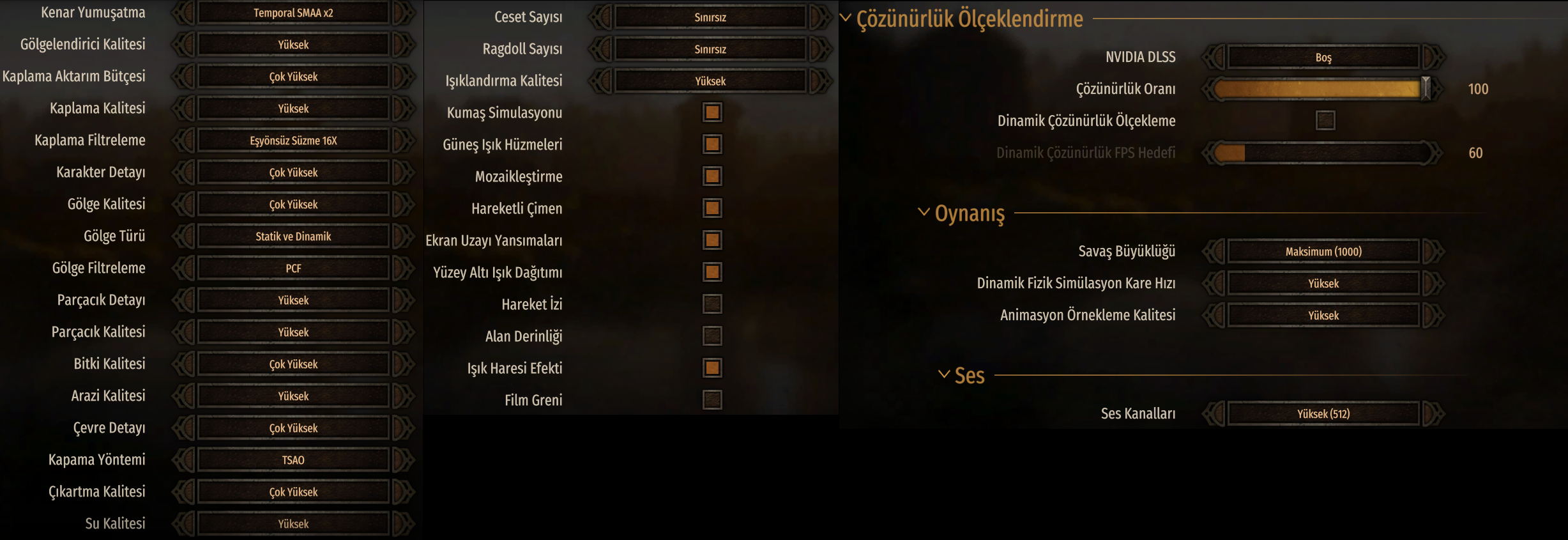 Bannerlord Settings.webp