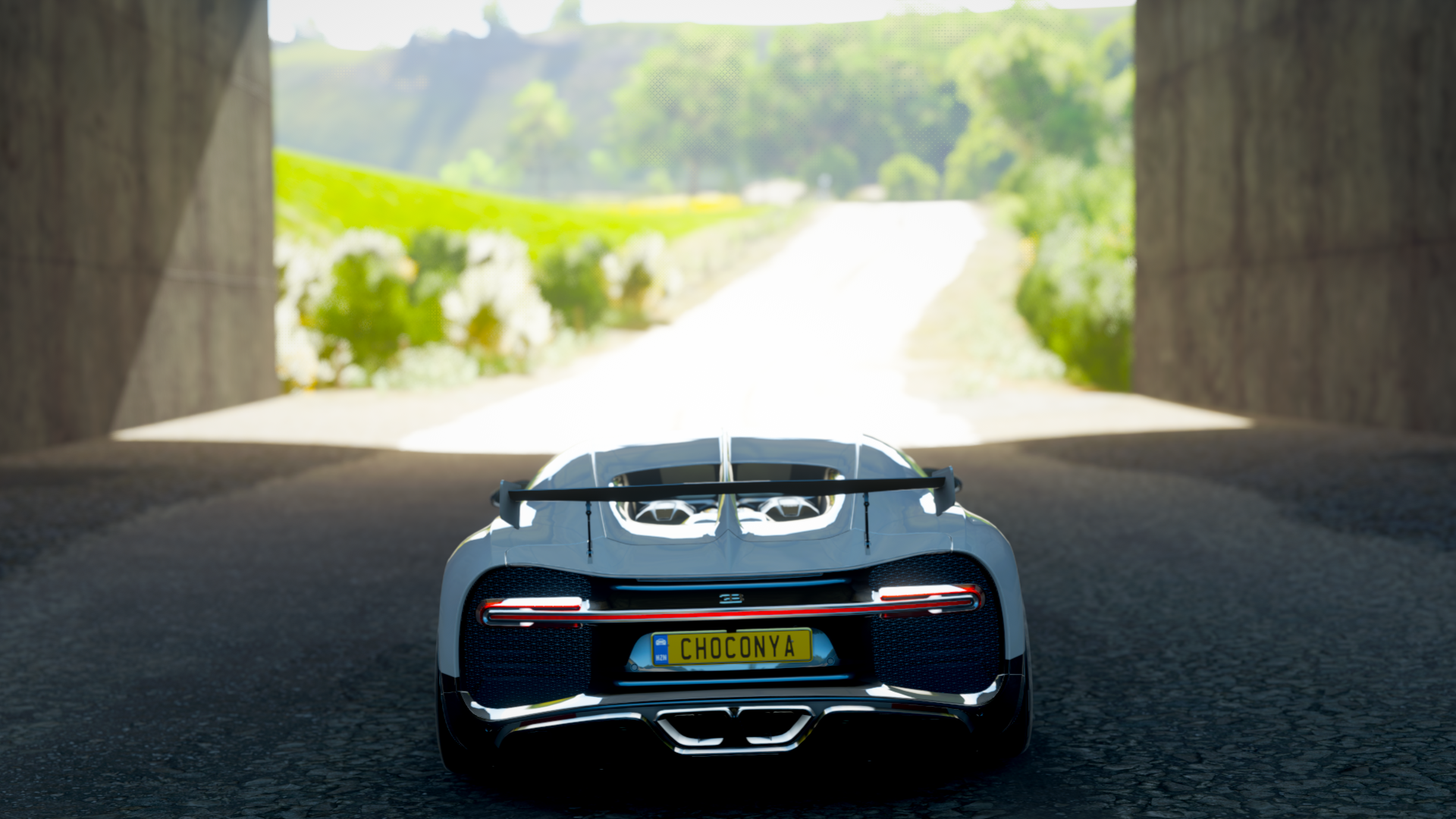 bg6.webp