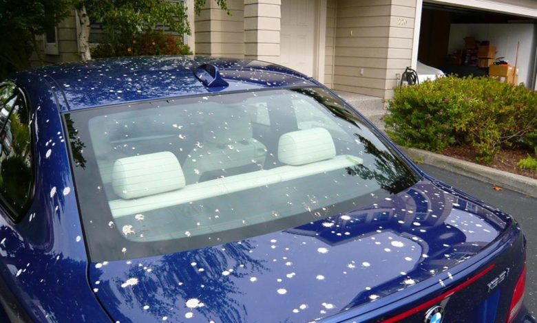 Bird-Droppings-and-Cars-010-780x470.webp