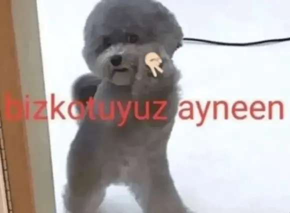 biz-kötüyüz-aynen-v0-s8r3hko20zeb1.webp