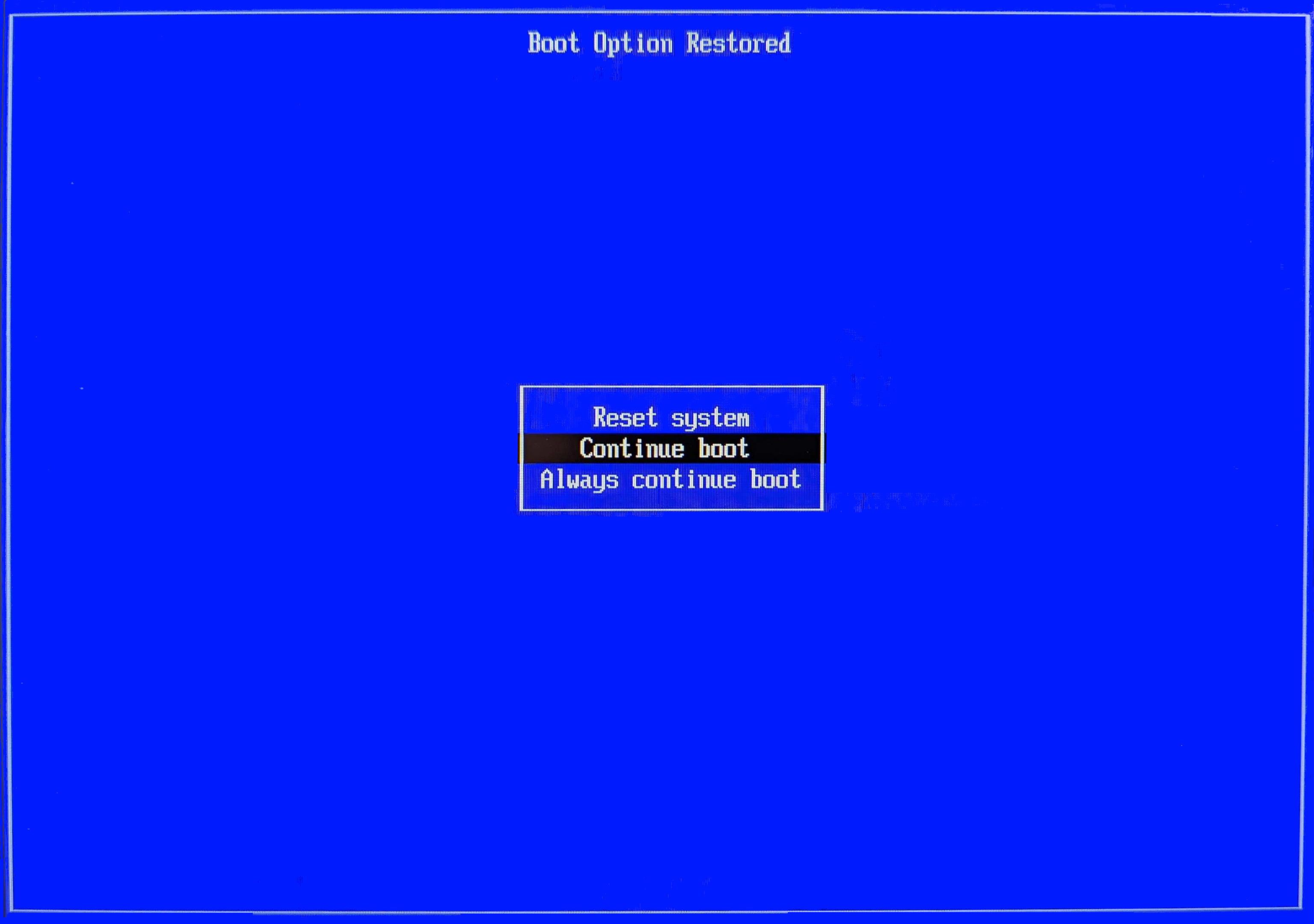boot.webp