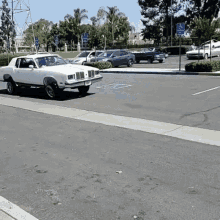 bounce-low.gif