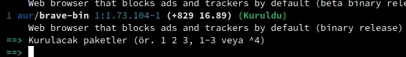 brave1.webp