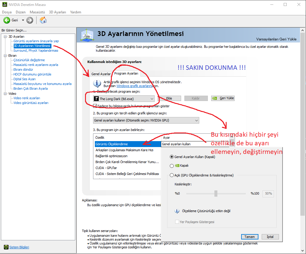 BUG11.webp