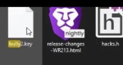 bully_2.webp