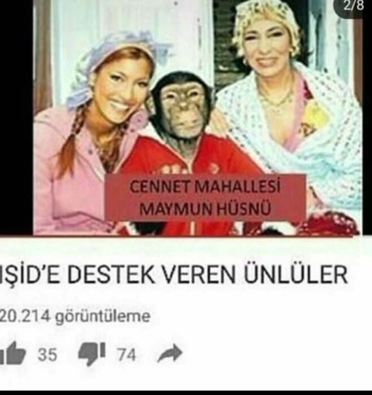 c2d767a55a3f0bc999628a52ceb166b5.webp