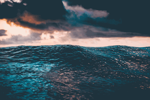 c8cbecadc9ffb14fde3570bc99efe7fb.gif