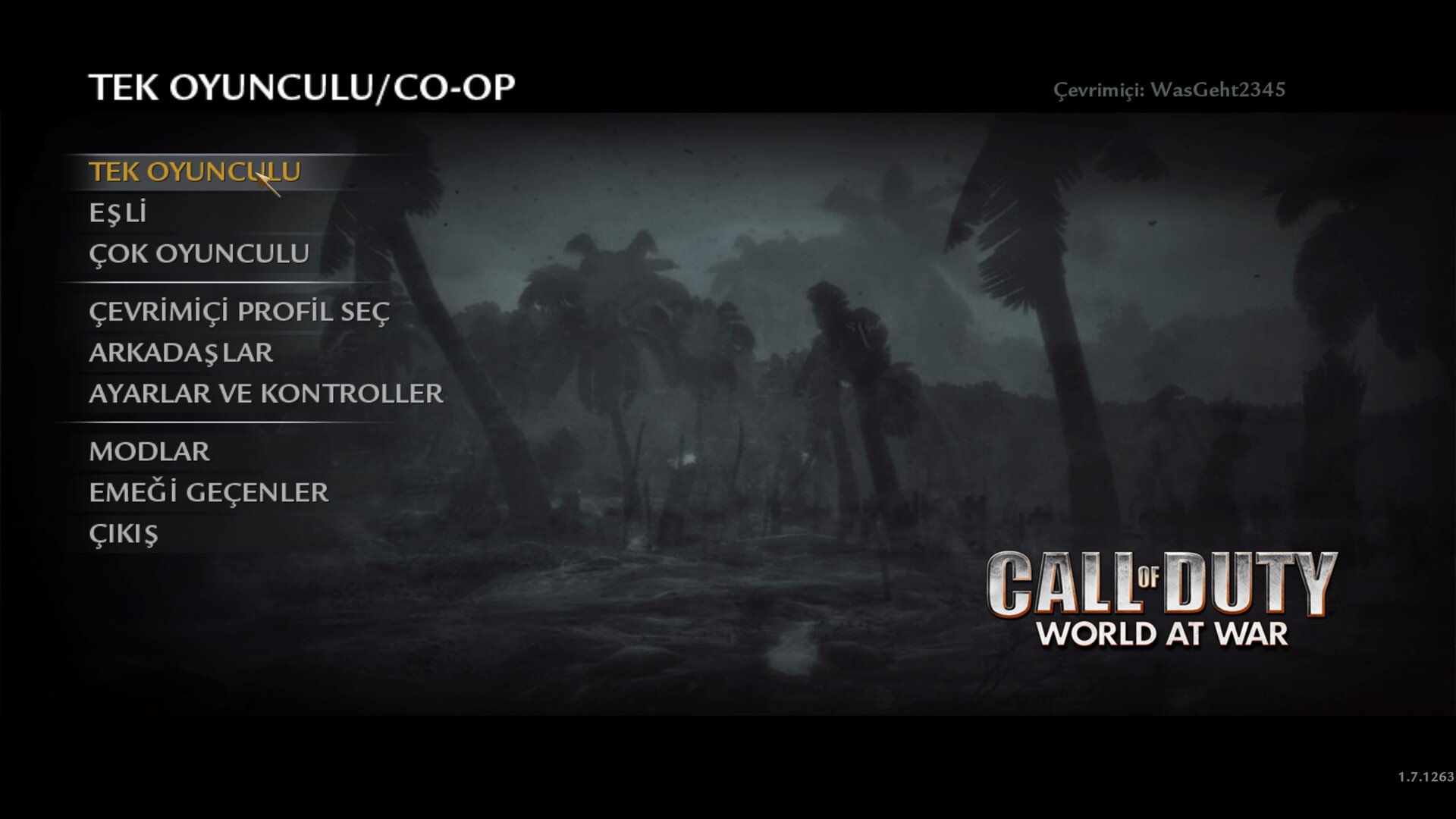 Call of Duty World at War Türkçe Yama Oynanış Görüntüsü 1.webp
