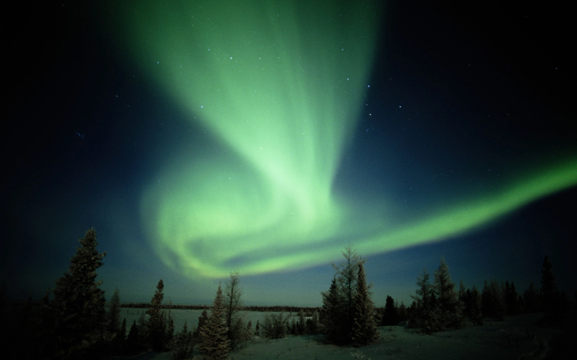Canada, Manitoba, Wapusk National Park, aurora borealis.webp